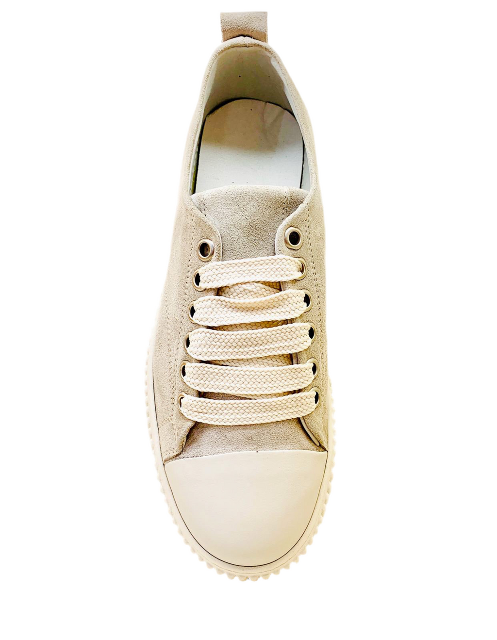 SNEAKERS TORTORA LMC - La Maga Circe